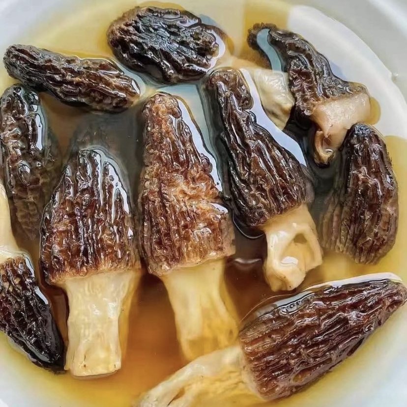 Do's and Don'ts of Morel mushrooms