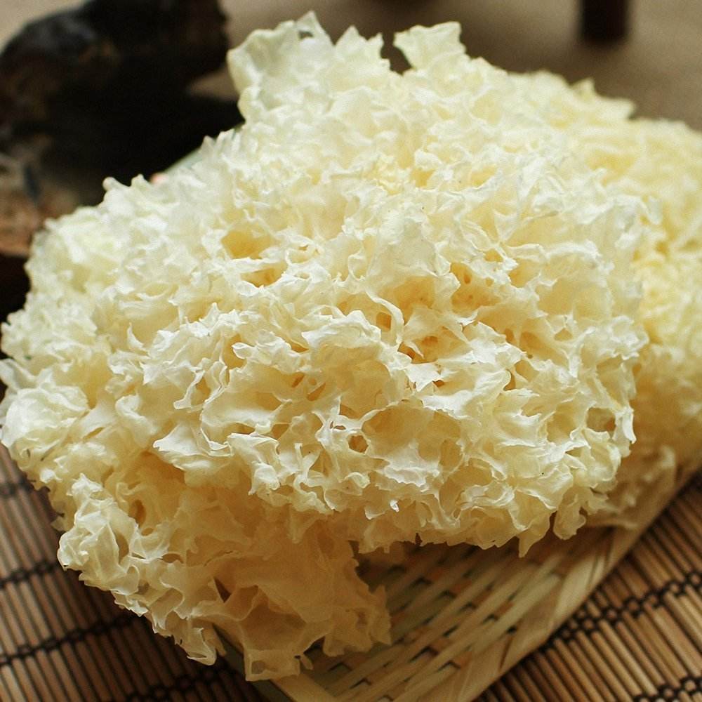 Precautions for consumption of Silver Fungus