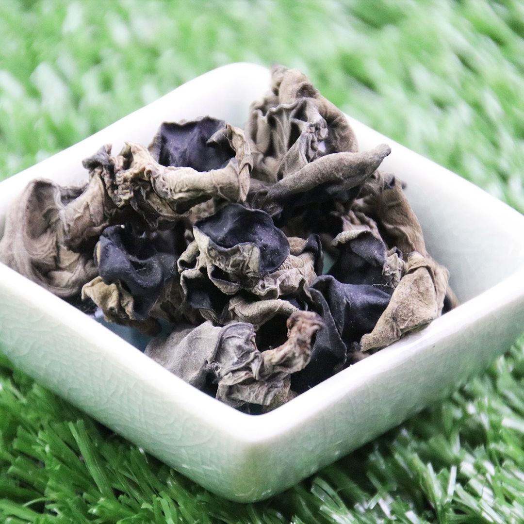 Benefits of Fungus