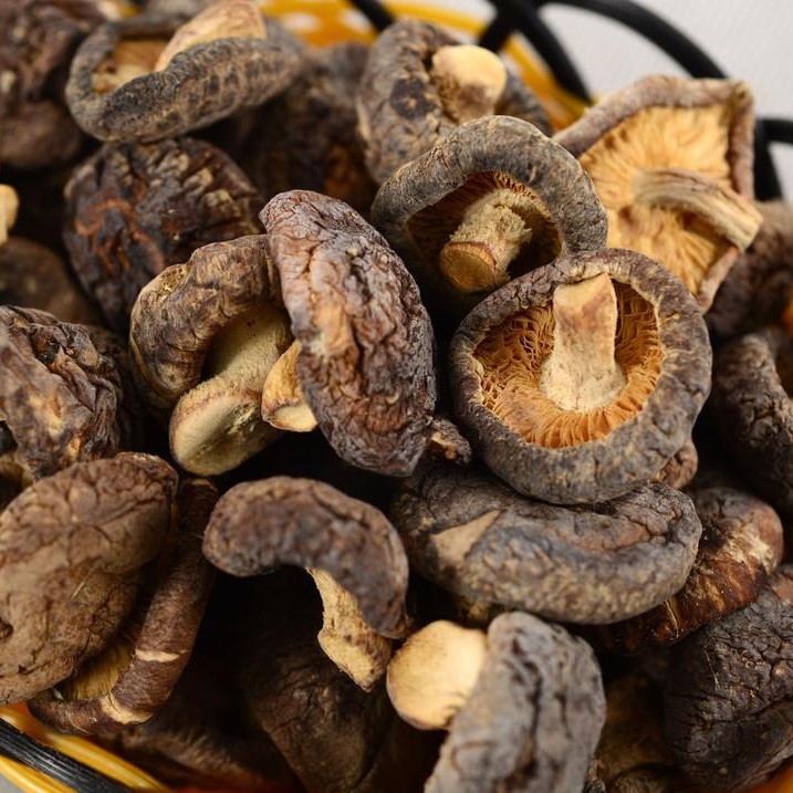 Shiitake mushroom
