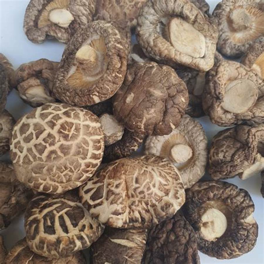 Nutrition of Shiitake Mushroom