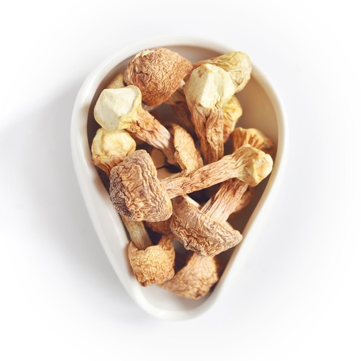 Benefits of Agaricus blazei