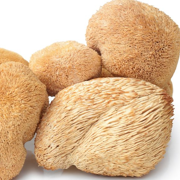 Monkey Head Mushroom Precautions
