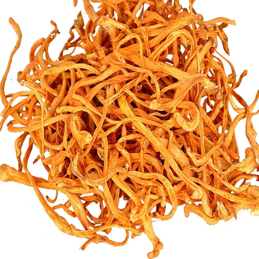 Cordyceps benefits