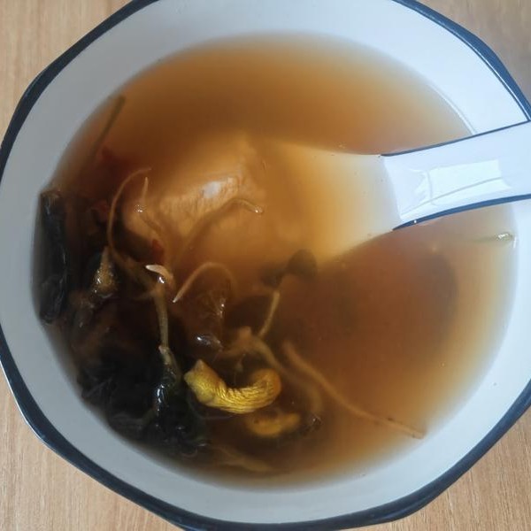 Ganoderma Recipes