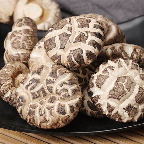 Flowering mushroom