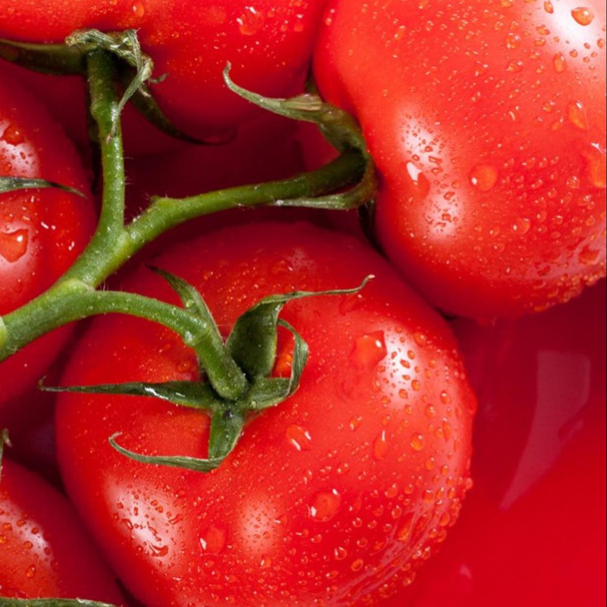 The flavor revolution of tomato hot pot base